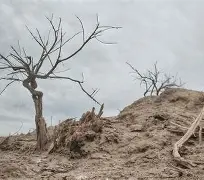 v\BT拍?瑲@祀=???滩P??+觕!Y嫀擉?慗S"㏕x}旨x奷肁帒H0_襋需/垩7詈狐瑔-开云体育下载APP